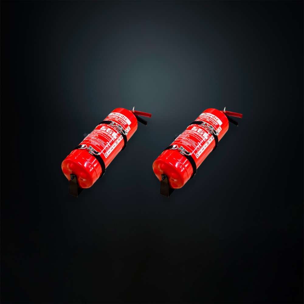 Extincteurs 6KG Lot de 2 avec Supports de Fixation