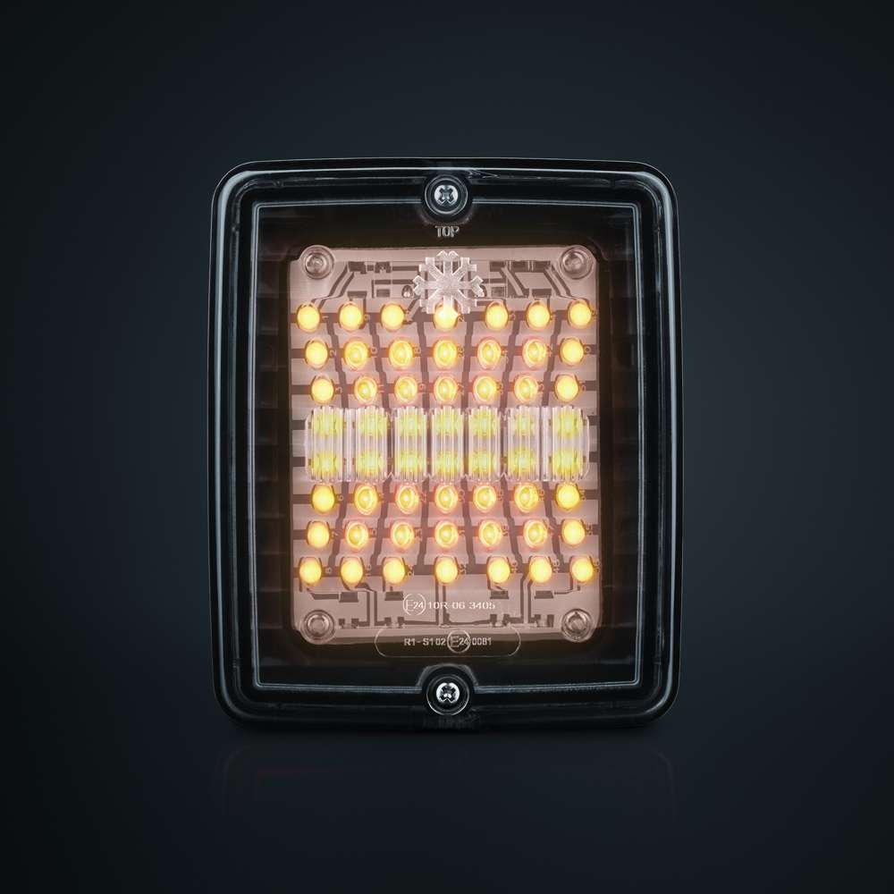 Feu Indicateur LED IZE Strands : Lentille Claire et Style Inégalé